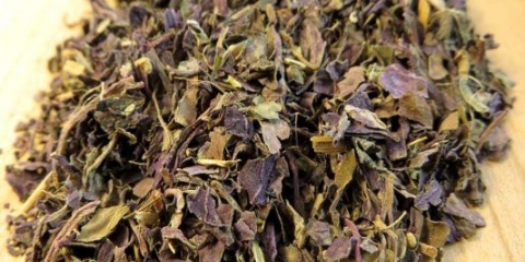 Kako sušiti bosiljak kod kuće